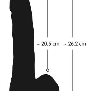 Nature Skin - Biegsamer Naturdildo mit Saugfuß Nature Skin - Biegsamer Naturdildo mit Saugfuß – Bild 5