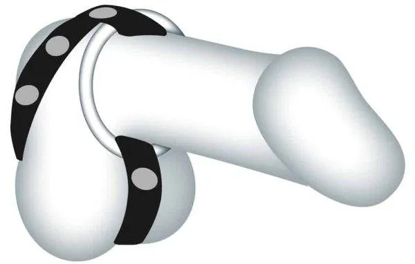 Sextreme Bad Kitty Cock/Ball Ring - Lederimitat mit 3 Penisringen Sextreme Bad Kitty Cock/Ball Ring - Lederimitat mit 3 Penisringen