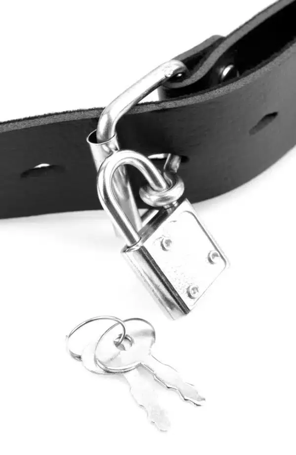 Fetish Fantasy Series - Deluxe Ballknebel mit Dildo Fetish Fantasy Series - Deluxe Ballknebel mit Dildo