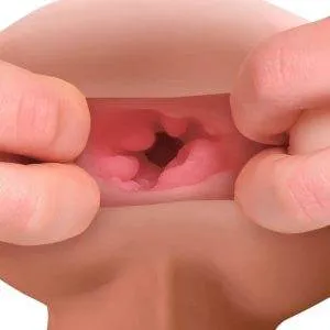 PDX Male Super-Masturbator mit Noppenstruktur und realistischen Hoden PDX Male Super-Masturbator mit Noppenstruktur und realistischen Hoden – Bild 5