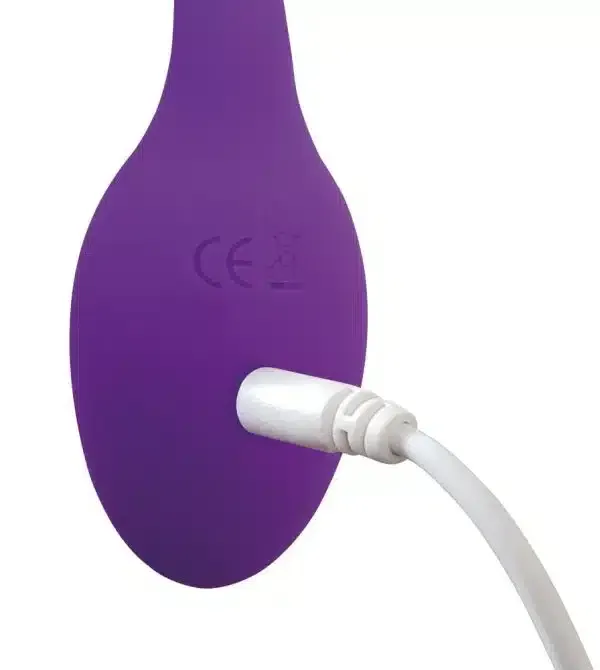 Adrien Lastic Smart Dream - Vibro-Ei und Paarvibrator in einem Adrien Lastic Smart Dream - Vibro-Ei und Paarvibrator in einem