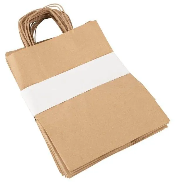 EcoPack: Braune Recycelte Papier Tragetasche - 26 x 12 x 31 cm - 250 Stück EcoPack: Braune Recycelte Papier Tragetasche - 26 x 12 x 31 cm - 250 Stück