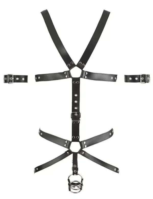 ZADO Leder Harness mit Penis- und Hodenringen L/XL ZADO Leder Harness mit Penis- und Hodenringen L/XL