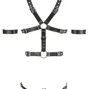 ZADO Leder Harness mit Penis- und Hodenringen L/XL ZADO Leder Harness mit Penis- und Hodenringen L/XL – Bild 5