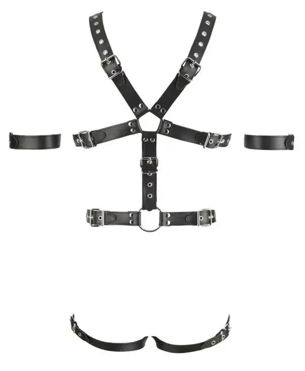 ZADO Leder Harness mit Penis- und Hodenringen L/XL ZADO Leder Harness mit Penis- und Hodenringen L/XL