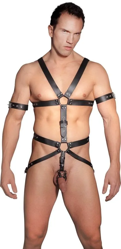 ZADO Leder Harness mit Penis- und Hodenringen L/XL
