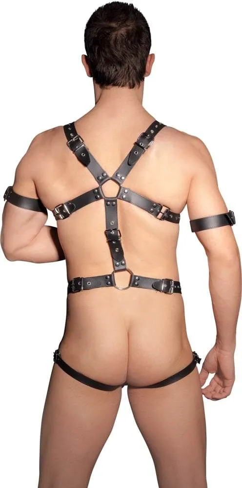 ZADO Leder Harness mit Penis- und Hodenringen L/XL