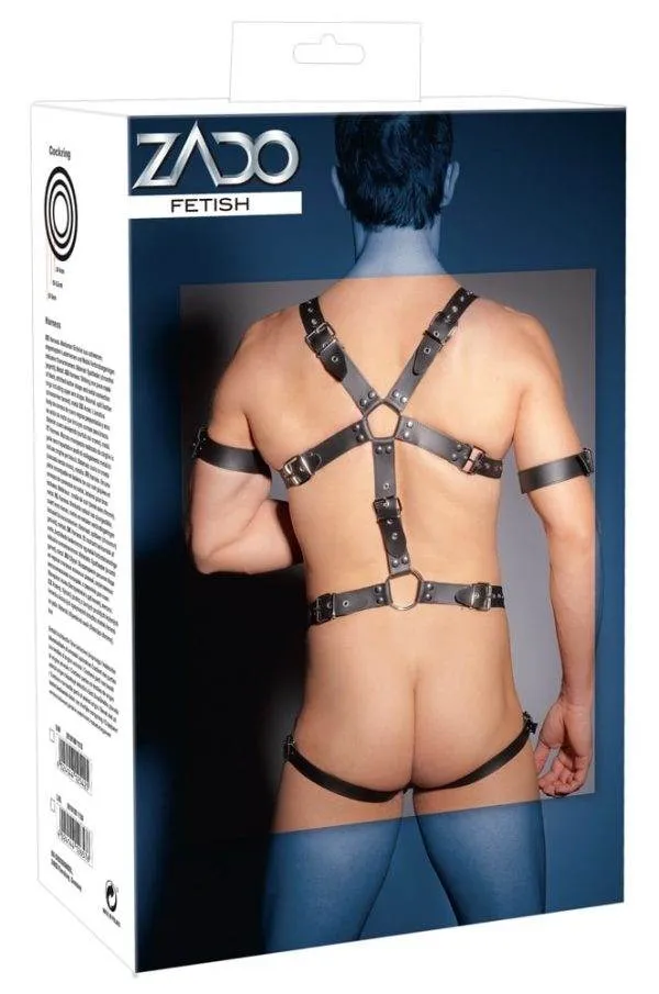 ZADO Leder Harness mit Penis- und Hodenringen L/XL