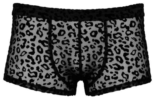 Noir Leo-Pants: Animalischer Transparent-Look XL Noir Leo-Pants: Animalischer Transparent-Look XL
