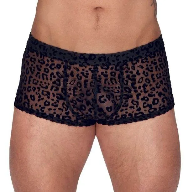 Noir Leo-Pants: Animalischer Transparent-Look XL Noir Leo-Pants: Animalischer Transparent-Look XL