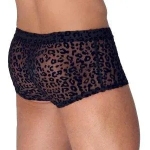 Noir Leo-Pants: Animalischer Transparent-Look XL Noir Leo-Pants: Animalischer Transparent-Look XL – Bild 3