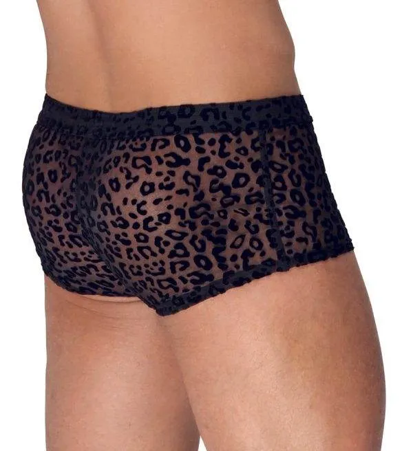 Noir Leo-Pants: Animalischer Transparent-Look XL Noir Leo-Pants: Animalischer Transparent-Look XL