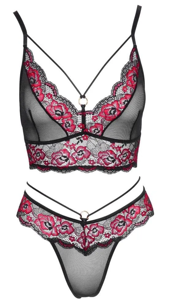 Cottelli LINGERIE: Spitzen BH Set, sinnlich & bequem Schwarz/Rot S Cottelli LINGERIE: Spitzen BH Set, sinnlich & bequem Schwarz/Rot S