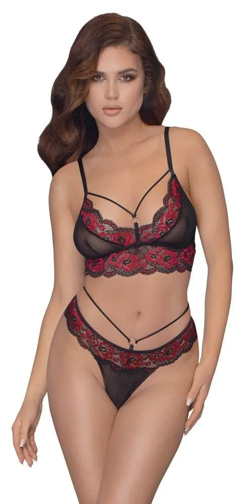 Cottelli LINGERIE: Spitzen BH Set, sinnlich & bequem Schwarz/Rot S Cottelli LINGERIE: Spitzen BH Set, sinnlich & bequem Schwarz/Rot S