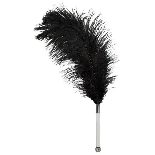 Bad Kitty Federkitzel schwarz/transparent/silber