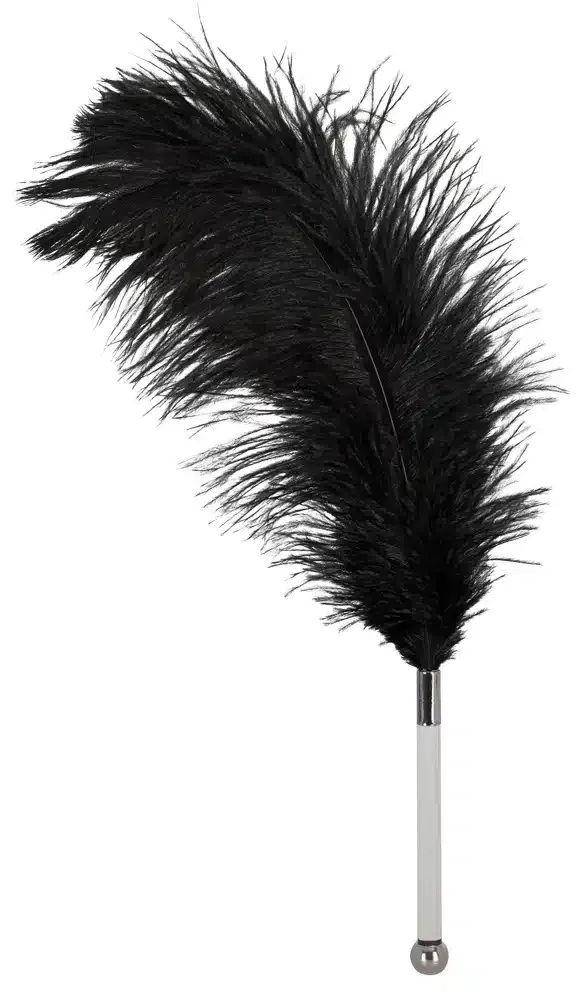 Bad Kitty Federkitzel schwarz/transparent/silber