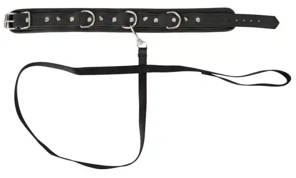 Vegan Fetish Halsfessel mit Spikes & D-Ringen Vegan Fetish Halsfessel mit Spikes & D-Ringen