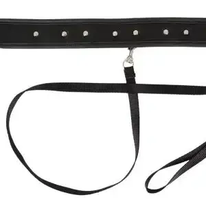 Vegan Fetish Halsfessel mit Spikes & D-Ringen Vegan Fetish Halsfessel mit Spikes & D-Ringen – Bild 5