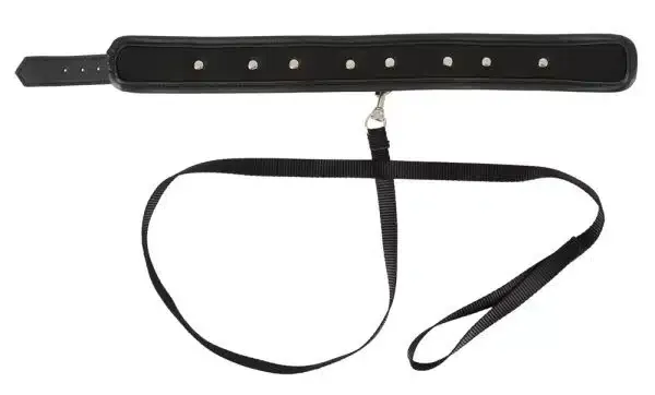 Vegan Fetish Halsfessel mit Spikes & D-Ringen Vegan Fetish Halsfessel mit Spikes & D-Ringen