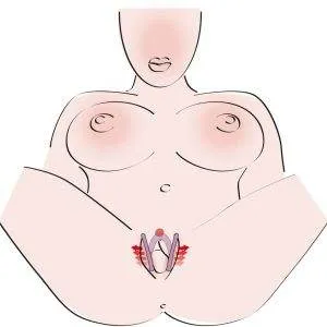You2Toys Intimate Spreader - Flexibel & Hautfreundlich You2Toys Intimate Spreader - Flexibel & Hautfreundlich – D