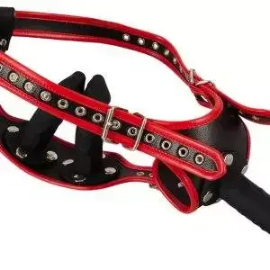 Bad Kitty Strap-on-String Set - Lederoptik - inklusive 3 Silikon-Dildos Bad Kitty Strap-on-String Set - Lederoptik - inklusive 3 Silikon-Dildos – Bild 4