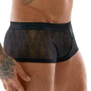 Svenjoyment Transparente Spitzen-Pants, Schwarz, Größe M Svenjoyment Transparente Spitzen-Pants, Schwarz, Größe M – Bild 3