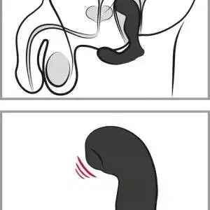 SVAKOM Iker - Flexibler (Anal-)Vibrator mit 2 Motoren SVAKOM Iker - Flexibler (Anal-)Vibrator mit 2 Motoren – Bild 7