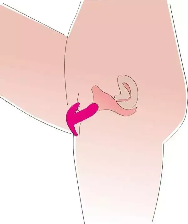 You2Toys My Secret Vibrator Pink/Weiß You2Toys My Secret Vibrator Pink/Weiß