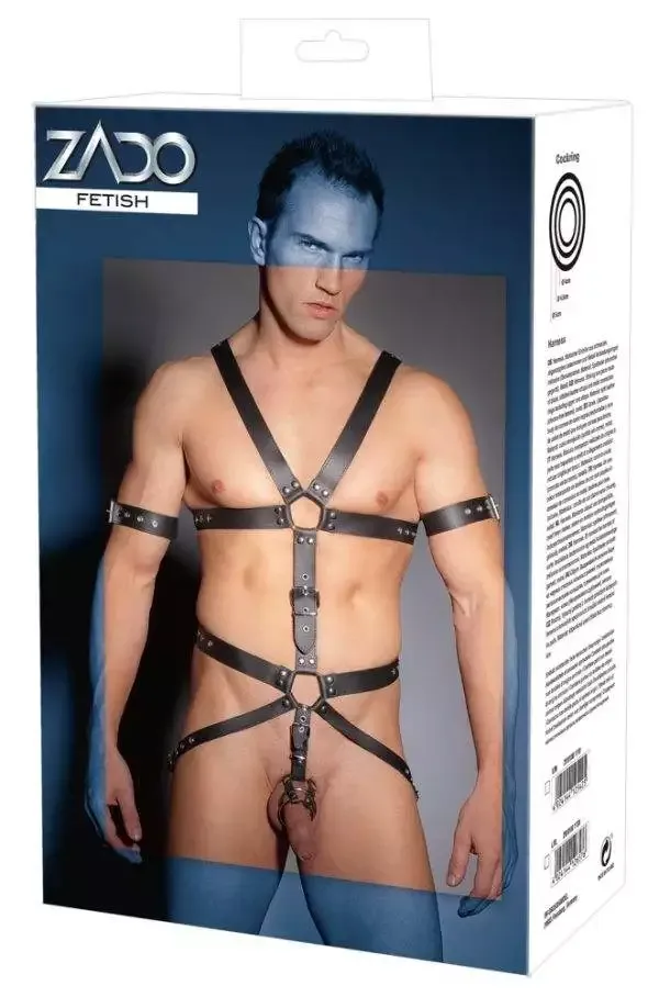ZADO Leder Harness mit Penis- und Hodenringen L/XL ZADO Leder Harness mit Penis- und Hodenringen L/XL