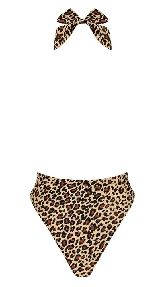 Obsessive Badeanzug Leo - Trendiger Einteiler für Schwimmen & Sonnen Leopardenmuster S-L Obsessive Badeanzug Leo - Trendiger Einteiler für Schwimmen & Sonnen Leopardenmuster S-L