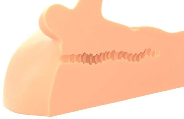 PDX Plus Perfect Ride - Männerkörper-Torso für wilde Ritte und Analvergnügen Light PDX Plus Perfect Ride - Männerkörper-Torso für wilde Ritte und Analvergnügen Light – E
