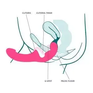 Fun Factory Share Lite Doppeldildo Pure Lust - Silikon BDSM Toy Fun Factory Share Lite Doppeldildo Pure Lust - Silikon BDSM Toy – F