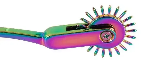 Fetish Collection Rainbow Single Pinwheel Nervenrad Fetish Collection Rainbow Single Pinwheel Nervenrad – F