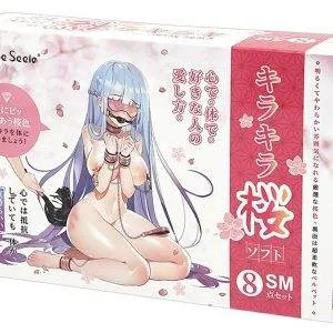 Liebe Seele Vivid Sakura Bondage-Set in Glossy Pink, 8-teilig Liebe Seele Vivid Sakura Bondage-Set in Glossy Pink, 8-teilig – Verpackung