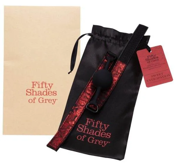 Fifty Shades of Grey Silikon-Knebel mit Lederoptik und Rosendesign- Band, größenverstellbar, inkl. Beutel – Verpackung Fifty Shades of Grey Silikon-Knebel mit Lederoptik und Rosendesign- Band, größenverstellbar, inkl. Beutel – Verpackung