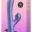 ROMP Pulse - Rabbit Vibrator mit Klitoris-Pulsator, Metallic-Optik, 10 Vibration + 5 Pleasure Air-Modi, wasserdicht, wiederaufladbar, Silikon, 22cm – Verpackung