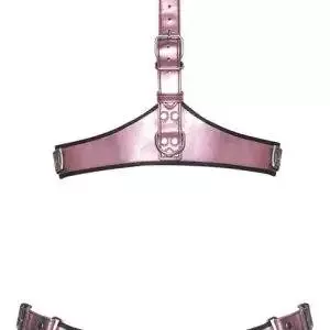 Bad Kitty Rosé-Metallic Harness-Set, Größe verstellbar, Farbe: Rosé Bad Kitty Rosé-Metallic Harness-Set, Größe verstellbar, Farbe: Rosé – Hollow B