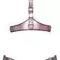 Bad Kitty Rosé-Metallic Harness-Set, Größe verstellbar, Farbe: Rosé Bad Kitty Rosé-Metallic Harness-Set, Größe verstellbar, Farbe: Rosé – Hollow B