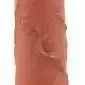 Realistixxx Flexibler Dildo Real Skin 20,5cm - Dual Density Silikon - Naturgetreu – B