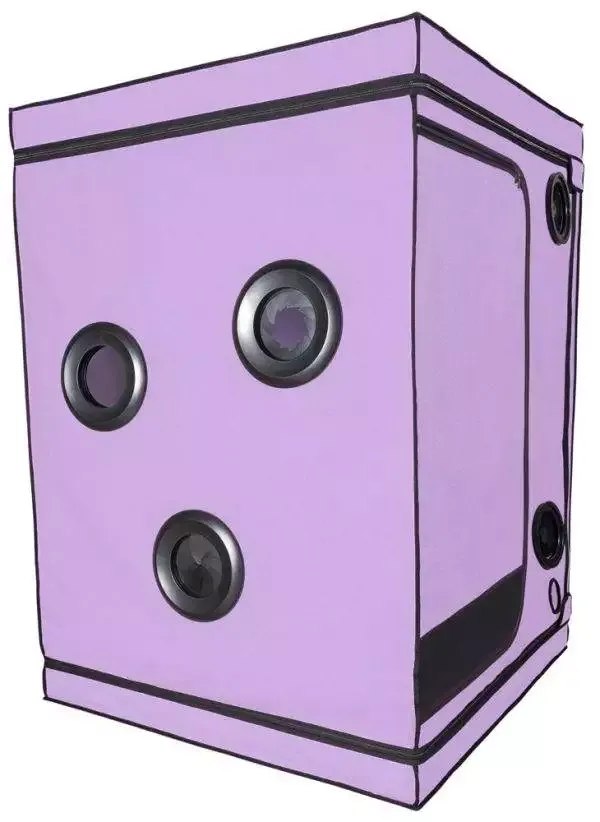 Secret Dome Scandale BDSM Spielebox für GloryHole und Rollenspiele in Dark Room – B